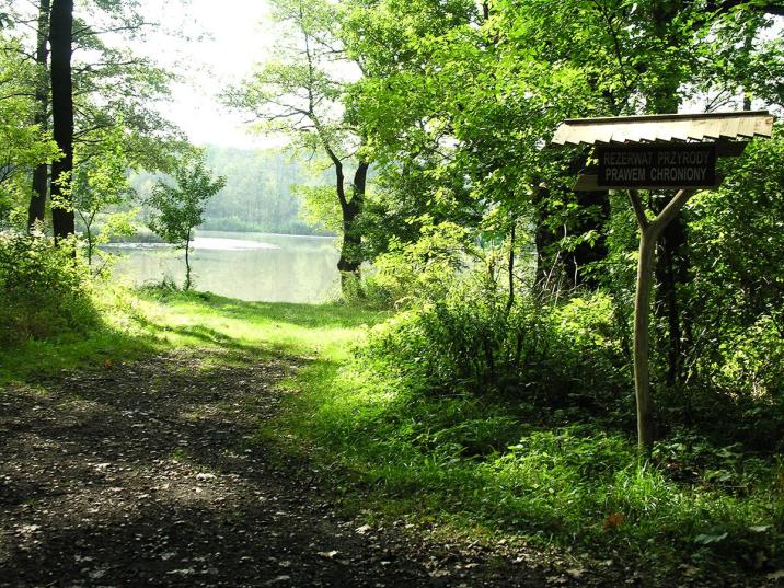 Rezerwat&#x20;przyrody&#x20;&#x22;Żurawno&#x22;&#x2e;&#x20;Fot&#x2e;&#x20;Paweł&#x20;Mrowiński