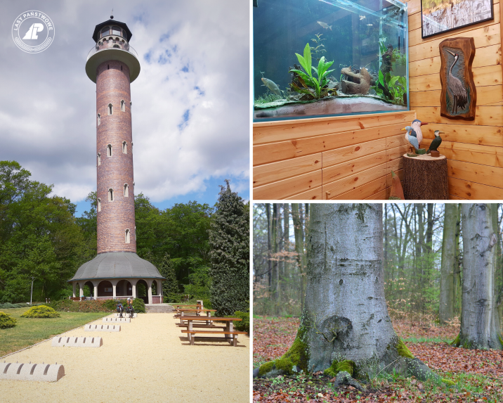 Teren OEPL w Jeziorach Wysokich; fot. Paweł Mrowiński; opis infografiki znajduje sie pod artykułem