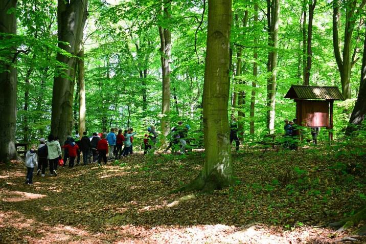 Przez&#x20;bukowy&#x20;las&#x2c;&#x20;ścieżką&#x20;dydaktyczną&#x20;&#x22;Na&#x20;Wąwozach&#x22;&#x2c;&#x20;wędruje&#x20;wycieczka&#x20;szkolna&#x2e;&#x20;Fot&#x2e;&#x20;Paweł&#x20;Mrowiński