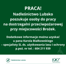 Ogłoszenie o pracy