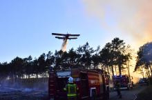 Pożar lasu w leśnictwie Nowa Rola