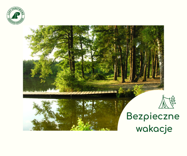 Grafika&#x20;ze&#x20;zdjęciem&#x20;drewnianego&#x20;pomostu&#x20;nad&#x20;jeziorem&#x20;śródleśnym&#x2e;&#x20;W&#x20;górnym&#x20;lewym&#x20;rogu&#x20;znajduje&#x20;się&#x20;logo&#x20;Lasów&#x20;Państwowych&#x2c;&#x20;a&#x20;w&#x20;dolnym&#x20;prawym&#x20;rogu&#x20;napis&#x3a;&#x20;&#x22;Bezpieczne&#x20;wakacje&#x22;&#x2e;&#x20;Przy&#x20;napisie&#x20;znajduje&#x20;się&#x20;rysunek&#x20;namiotu&#x20;pod&#x20;świerkiem&#x2e;&#x20;Całość&#x20;w&#x20;zielonych&#x20;kolorach&#x20;w&#x20;białej&#x20;ramce&#x2e;&#x20;Autor&#x20;zdjęcia&#x3a;&#x20;Paweł&#x20;Mrowiński