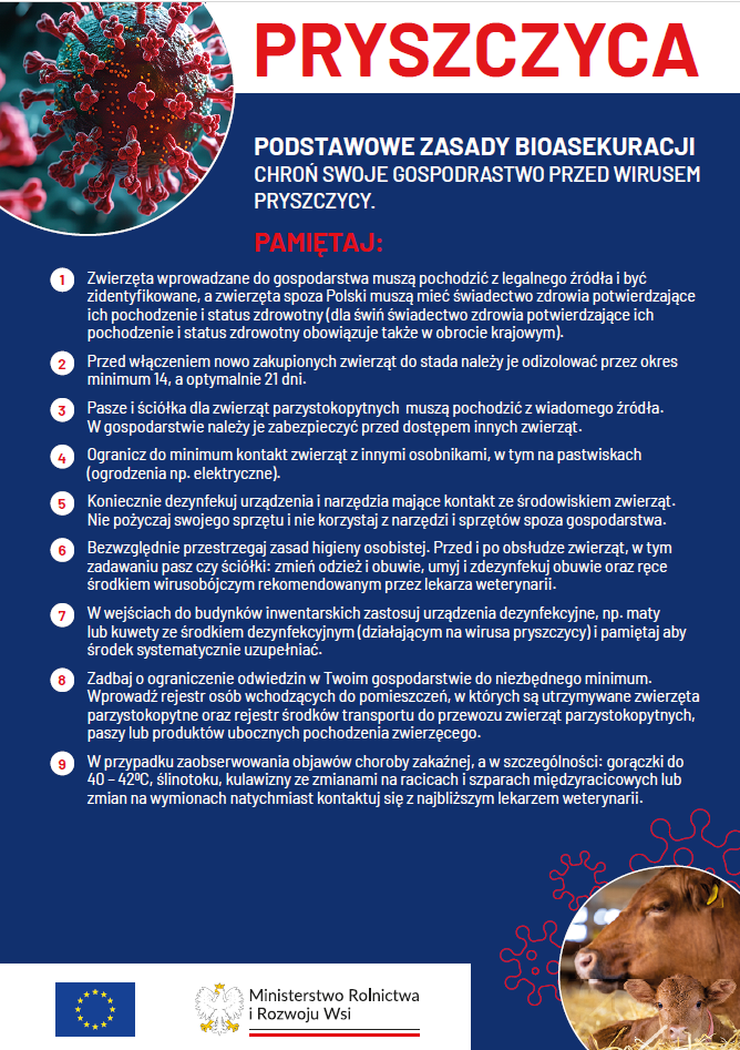 Grafika&#x20;ma&#x20;układ&#x20;plakatu&#x20;informacyjnego&#x2e;&#x20;W&#x20;tle&#x20;dominują&#x20;kolory&#x20;niebieski&#x20;i&#x20;czerwony&#x2e;&#x20;U&#x20;góry&#x20;po&#x20;lewej&#x20;stronie&#x20;widnieje&#x20;powiększony&#x20;obraz&#x20;wirusa&#x2e;&#x20;Na&#x20;dole&#x20;po&#x20;prawej&#x20;stronie&#x20;znajduje&#x20;się&#x20;zdjęcie&#x20;krowy&#x20;z&#x20;cielakiem&#x2e;&#x20;Na&#x20;dole&#x20;plakatu&#x20;umieszczono&#x20;logotypy&#x20;Unii&#x20;Europejskiej&#x20;oraz&#x20;Ministerstwa&#x20;Rolnictwa&#x20;i&#x20;Rozwoju&#x20;Wsi&#x2e;&#x20;W&#x20;centrum&#x20;grafiki&#x20;znajdują&#x20;się&#x20;numerowane&#x20;punkty&#x20;z&#x20;zasadami&#x2c;&#x20;a&#x20;nagłówki&#x20;wyróżnione&#x20;są&#x20;czerwonym&#x20;i&#x20;białym&#x20;kolorem&#x2e;
