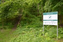 Promotion of crossborder cooperation of Lubsko Forest District and Landratsamt Bautzen Kreisforstamt
