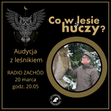 Audycja z leśnikiem. Co w lesie huczy?